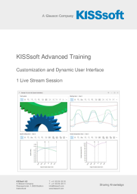 Customization and Dynamic User Interface